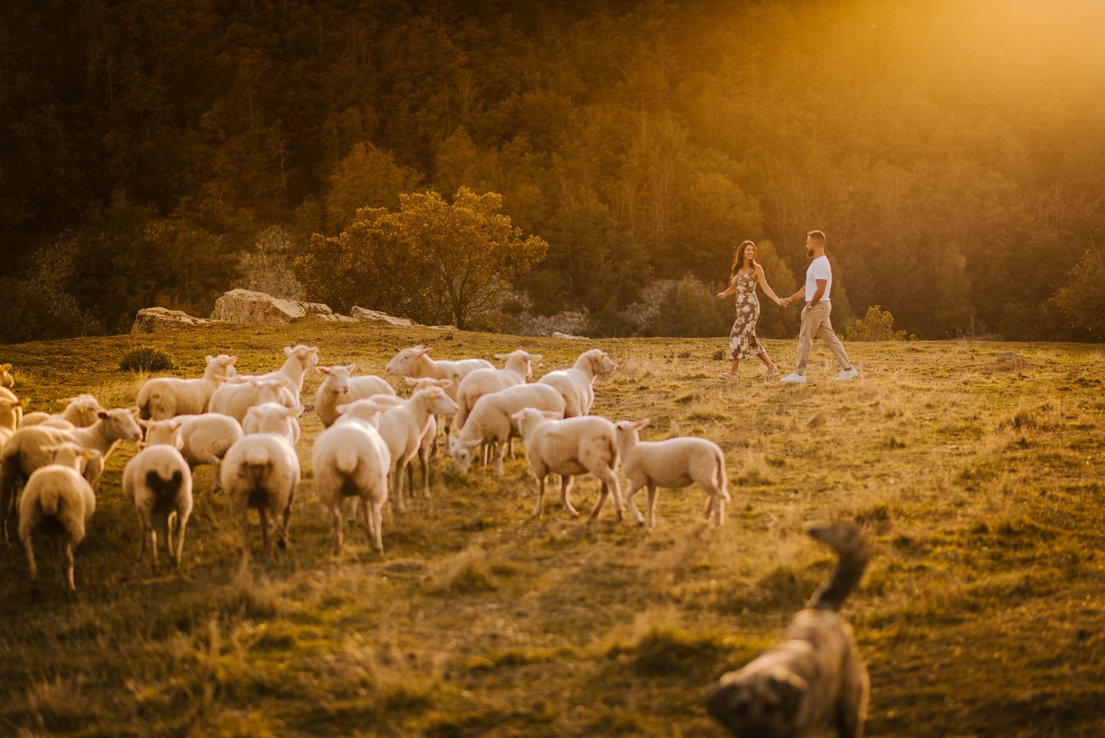 daninuda_PREWEDDING_larioja4